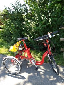 A cheery red tricycle with a bright yellow shopping bag, stopped on a path in dappled shade in front of lush summer bushes.
